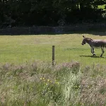 Rowan 度假居 阿尔弗斯顿