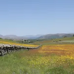 Rowan * 阿尔弗斯顿