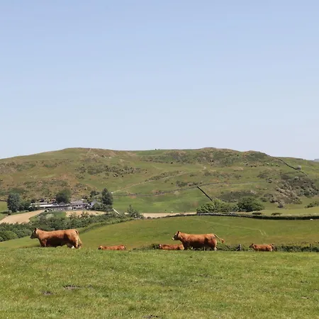 Rowan Ulverston