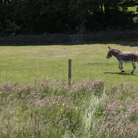 Rowan Holiday home Ulverston