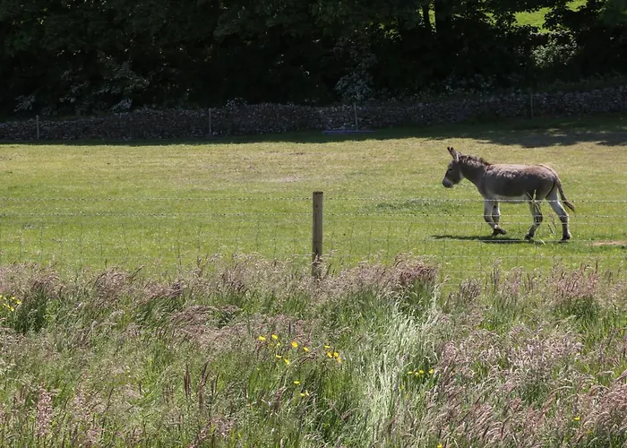 Rowan Nyaraló Ulverston